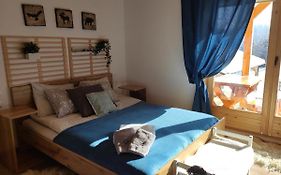 Apartament Borowikowe Zacisze